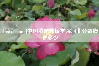 安徽中国消防救援学院河北分数线是多少