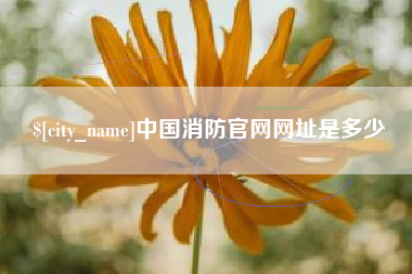 安徽中国消防官网网址是多少