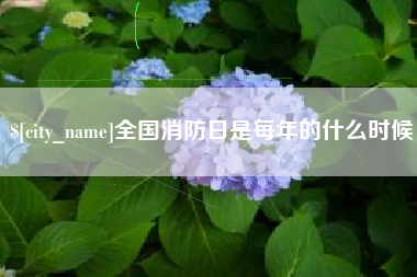 安徽全国消防日是每年的什么时候