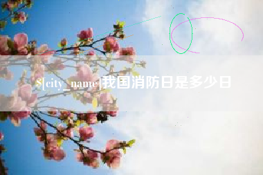 安徽我国消防日是多少日