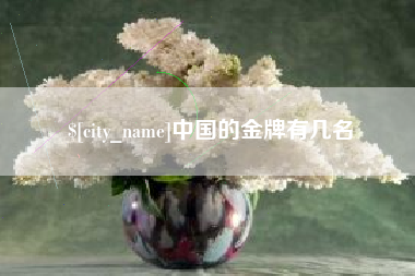 安徽中国的金牌有几名