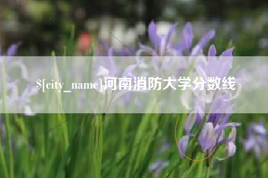 安徽河南消防大学分数线