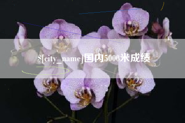 安徽国内5000米成绩