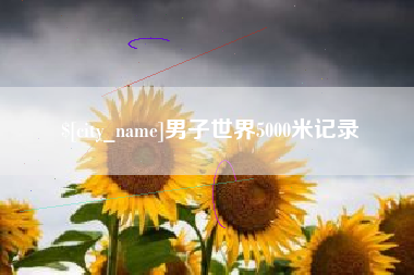 安徽男子世界5000米记录