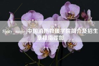 安徽中国消防救援学院简介及招生章程指挥部