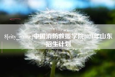 安徽中国消防救援学院2021年山东招生计划