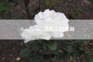 安徽消防证的查询