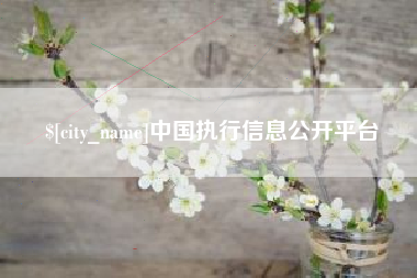 安徽中国执行信息公开平台
