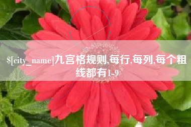 安徽九宫格规则,每行,每列,每个粗线都有1-9
