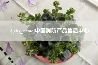 安徽中国消防产品信息中心