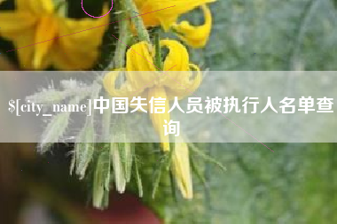 安徽中国失信人员被执行人名单查询