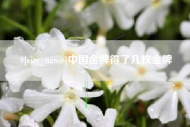 安徽中国金牌得了几枚金牌