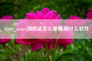 安徽消防证怎么查询,用什么软件