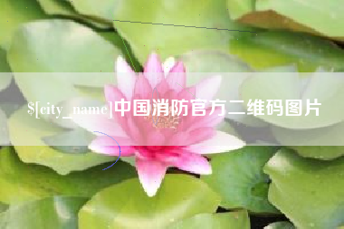 安徽中国消防官方二维码图片