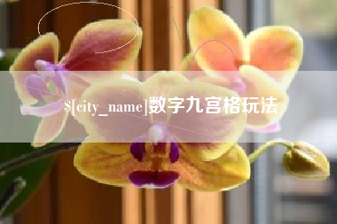 安徽数字九宫格玩法