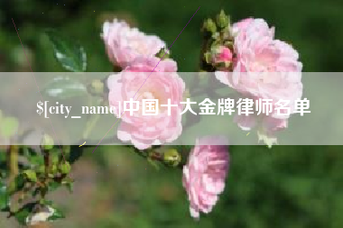 安徽中国十大金牌律师名单
