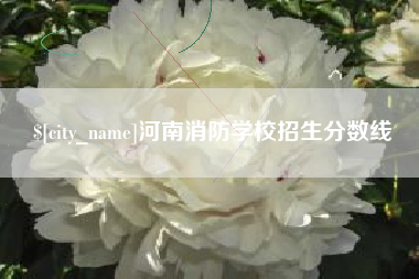 安徽河南消防学校招生分数线