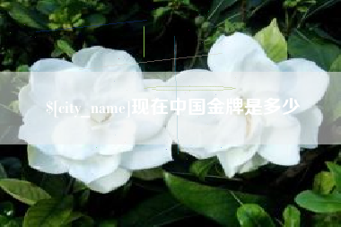 安徽现在中国金牌是多少