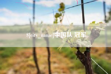 安徽中国队 冠军