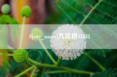 安徽九宫格42633