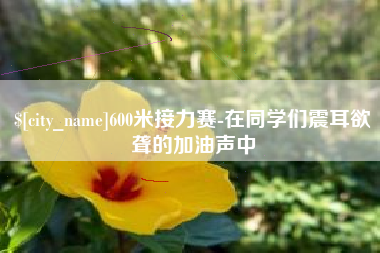 安徽600米接力赛-在同学们震耳欲聋的加油声中