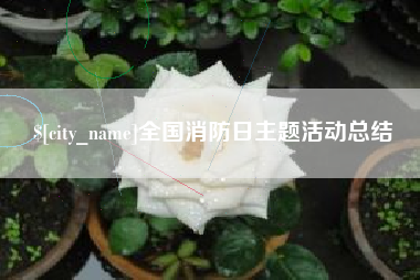 安徽全国消防日主题活动总结