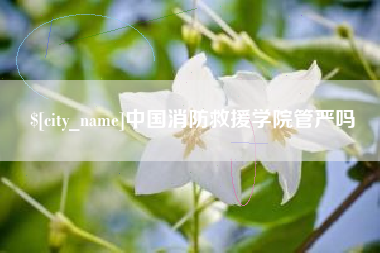 安徽中国消防救援学院管严吗