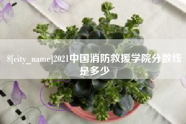 安徽2021中国消防救援学院分数线是多少