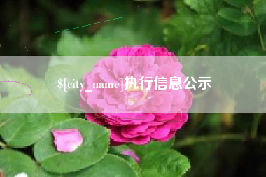 安徽执行信息公示
