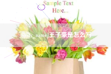 安徽王子豪是怎么写