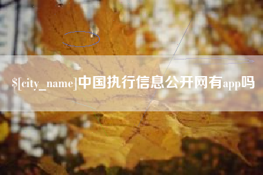 安徽中国执行信息公开网有app吗