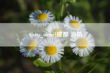 安徽成都 消防
