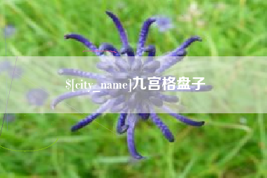 安徽九宫格盘子