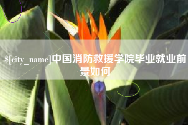 安徽中国消防救援学院毕业就业前景如何