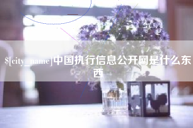 安徽中国执行信息公开网是什么东西