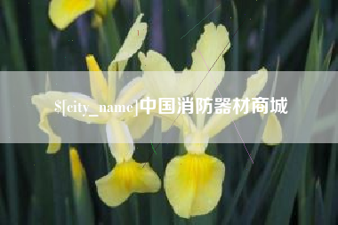 安徽中国消防器材商城