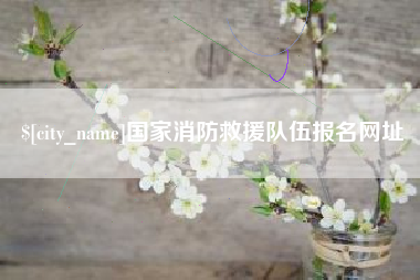 安徽国家消防救援队伍报名网址