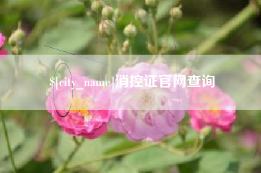 安徽消控证官网查询
