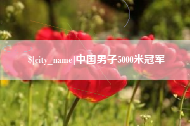 安徽中国男子5000米冠军