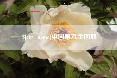 安徽中国第九金回放