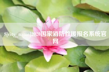 安徽2020国家消防救援报名系统官网