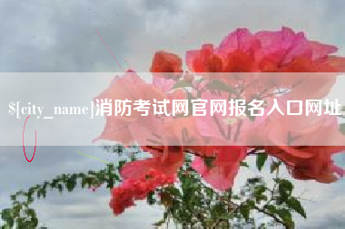 安徽消防考试网官网报名入口网址