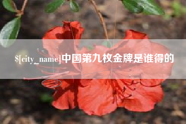 安徽中国第九枚金牌是谁得的