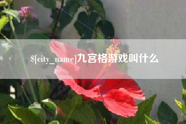 安徽九宫格游戏叫什么