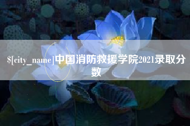 安徽中国消防救援学院2021录取分数