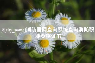 安徽消防官网查询系统查询消防职业资格证书