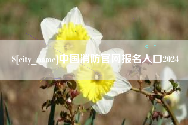 安徽中国消防官网报名入口2024
