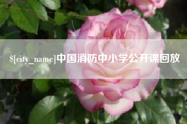 安徽中国消防中小学公开课回放
