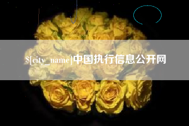 安徽中国执行信息公开网
