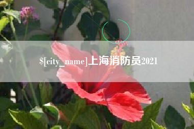 安徽上海消防员2021